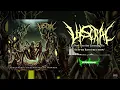 Download Lagu Viscral - Suffer Ressurection (2015)