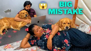 I Taught PeaNut How to Use a Laptop Then He Destroyed Everything 😱 | The PeaNut Vlogs