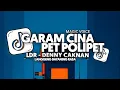 Lagu DJ PET POLIPET X GARAM CINA X MAGIC VOICE X LDR | LANGGENG DAYANING RASA FULL SONG Vel Remixer 2025