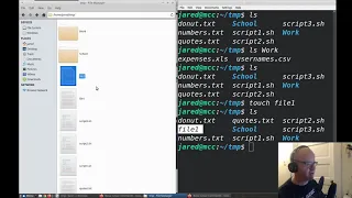BASH Basics Demo the ls touch mkdir cp and cd Commands