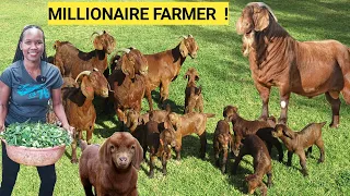 How To Breed GOATS Like A PRO 2025!| Quality Feeds, Breeds, Kidding Goals
