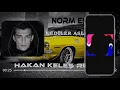 Norm Ender -  Kediler Aslan Olmaz (Hakan Keleş Remix)