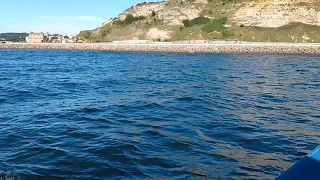 47) Dolphins leaving Scarborough