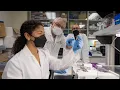 WesternU Veterinary Summer Research Program Collaboration with Osteopathic Medicine students 2023