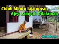 Download Lagu Samping Jangkung Gelung Jucung Awak Rengkung Disebakeun, Sesa Umur Di Anterkeun | Rural Life