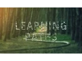 Introducing O Reilly Training Learning Paths