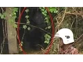 Cryptid Miniseries Teaser