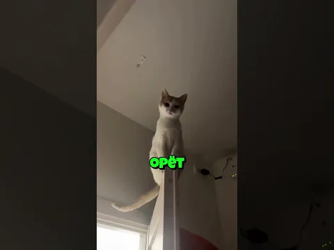 Домашний скалолаз!