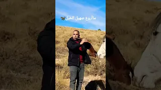 قصبة الخيل  قصبة الخيل