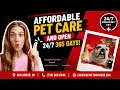 Emergency Vet Open for Dogs Cats Exotic Pets Ann Arbor