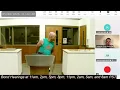 Shocking Arrests and High-Stakes Rulings Maricopa County Court Live