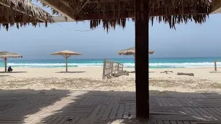 احنا الدلع علاجنا وخدامين مزاجنا دندنها