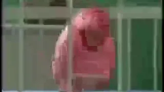 Https Cdn Discordapp Com Attachments 411606221225852928 603722888482258994 Hedances Mp4  Https Cdn Discordapp Com Attachments 411606221225852928 603722888482258994 Hedances Mp4