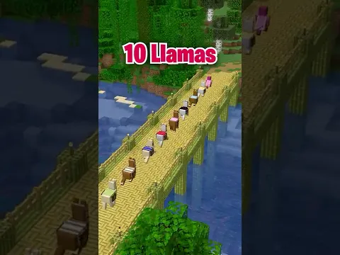 This is the Rarest llama