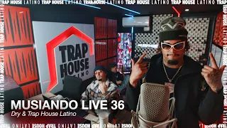 MUSIANDO LIVE 36 | DRY