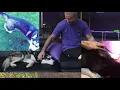 RiFF RAFF - HUSKY