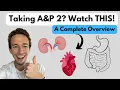 Download Lagu Master Anatomy \u0026 Physiology 2! ULTIMATE Course Review in One Video