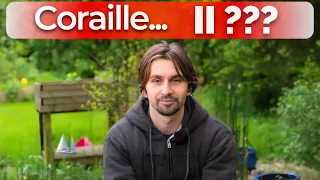 On vous explique TOUT ( voilier Coraille II ? )