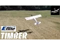 E-flite Timber Pre-flight flight review