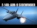 F-14B Tomcat Aim-9 Sidewinder Tutorial DCS WORLD