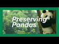 Preserving Pandas Kyle Obermann