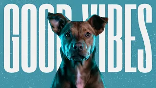 Calm Music. Happy Dog.