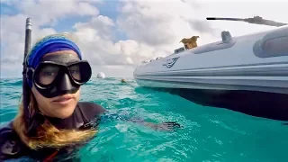 Diving 111 Year Old SHIPWRECK!