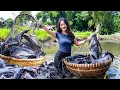 Download Lagu Harvesting \u0026 Caught 1000+ kg of Mutant Giant Bee Catfish with Hand  \u0026 Making Delicious Grilled Fish!