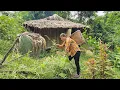 Download Lagu Young girl turns abandoned house into temporary shelter Ly Phuc Ca