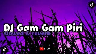 Download DJ Gam Gam Piri - ( Slowed \u0026 Reverb ) MP3