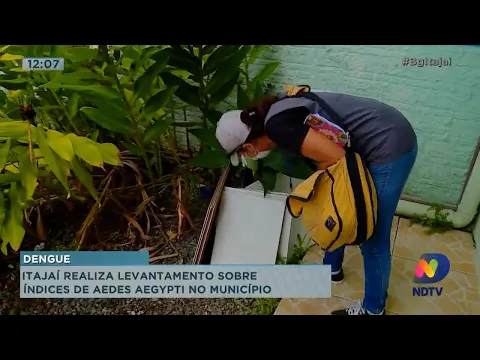 Itajaí realiza levantamento sobre índice de Aedes Aegypti município