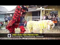 Download Aksi Heboh Barongsai - Singa Dangdut Putra Muda Live Soge Kandanghaur Indramayu mp4 3gp mp3 videos - waplic