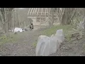 Scarlxrd - MV Footage RIP$AW.  #237