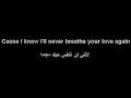 Download Lagu Shayne Ward - I Cry  (Arabic \u0026 English Lyrics )