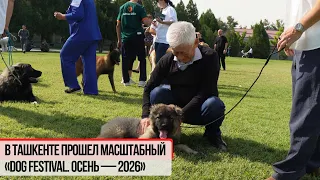 В Ташкенте прошел масштабный «Dog festival. Осень — 2026» | Репортаж