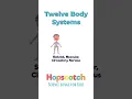 Download Lagu Twelve Body Systems- Science Songs for Kids #hopscotchsongs #learnwithme #anatomy #kidssong #learn