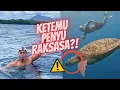 Download Lagu TIMBOI BERENANG DI LAUT BUNAKEN! KETEMU PENYU RAKSASA, GEDE BANGET😱