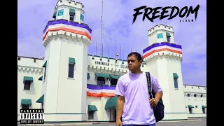 Yow (Outro)- Shernan (Freedom Album)
