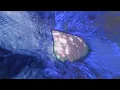 ANNA PHOEBE - Light on Waves (Slow Meadow Rework) (Official Video)