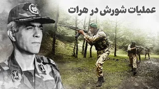 عملیات شورش در هرات همکاری ایران آمریکا و انگلستان در یک عملیات 