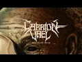 Carrion Vael - The Paint Shop