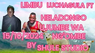 LIMBU LUCHAGULA FT HELADONGO 0742547048 BY SHULE STUDIO 15 10 2024 