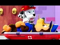 Doctor Marshall takes care of Chase Marshall Best Scenes from PAW Patrol 4K