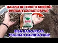 Lagu Haluskan kohe kambing dengan garam dapur