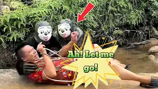 Video Collection of Monsters andDelicious Food!