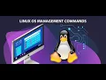 Understanding the Fork Function in C Programming on Ubunto Linux Detailed Tutorial