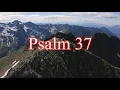 A reading of Psalm 37 from the New Living Translation