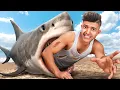 SWIMMING In A SHARK INFESTED POOL Sharks And Minnows