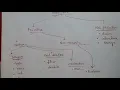 Class 9 Variables and Data types Integers only Lesson 2