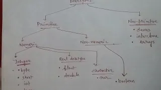 Class 9 Variables and Data types Integers only Lesson 2